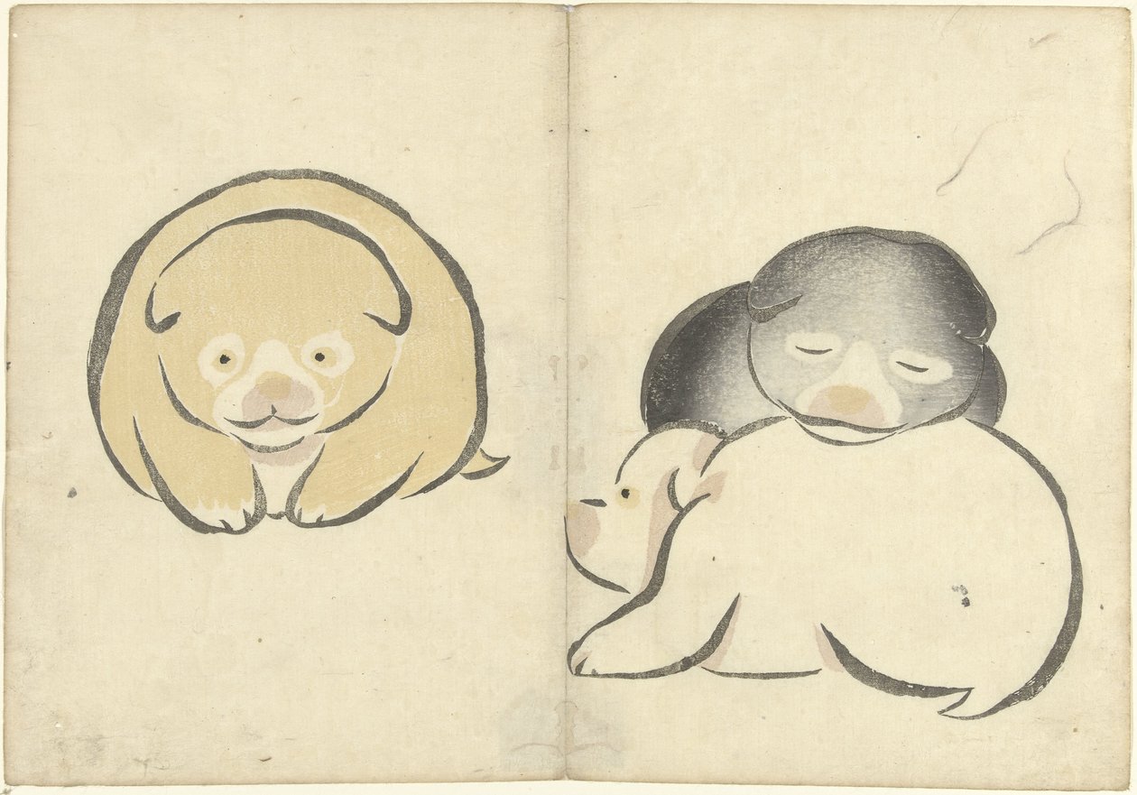 Tre cuccioli da Nakamura Hochu