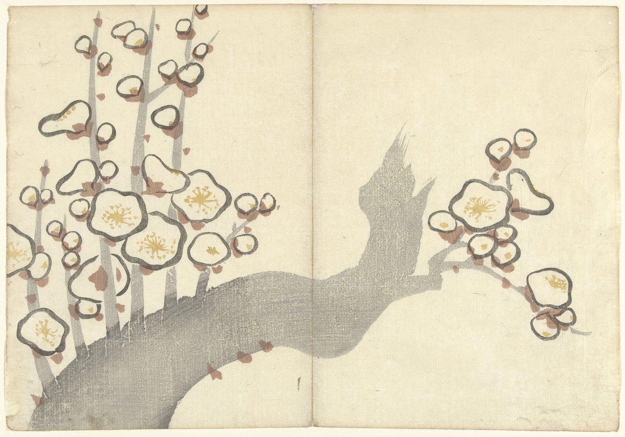 Fiori di prugna (Album di stampe di Korin) da Nakamura Hochu