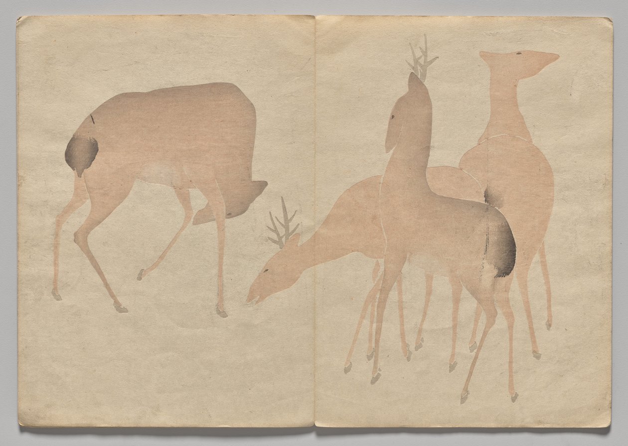 Scena dal Libro delle Immagini di Kōrin (Volume 1) da Nakamura Hochu