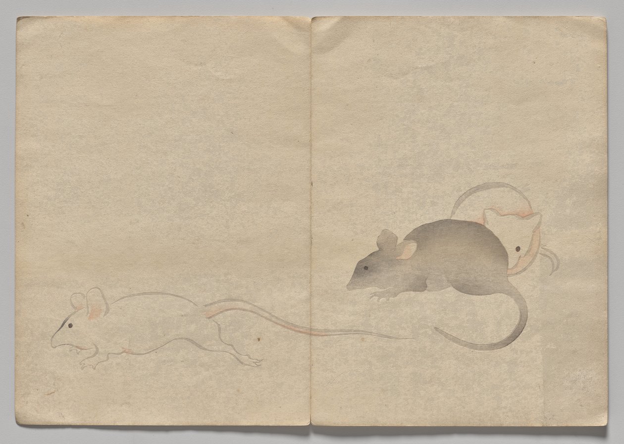Scena dal Libro Illustrato di Kōrin (Volume 2) da Nakamura Hochu