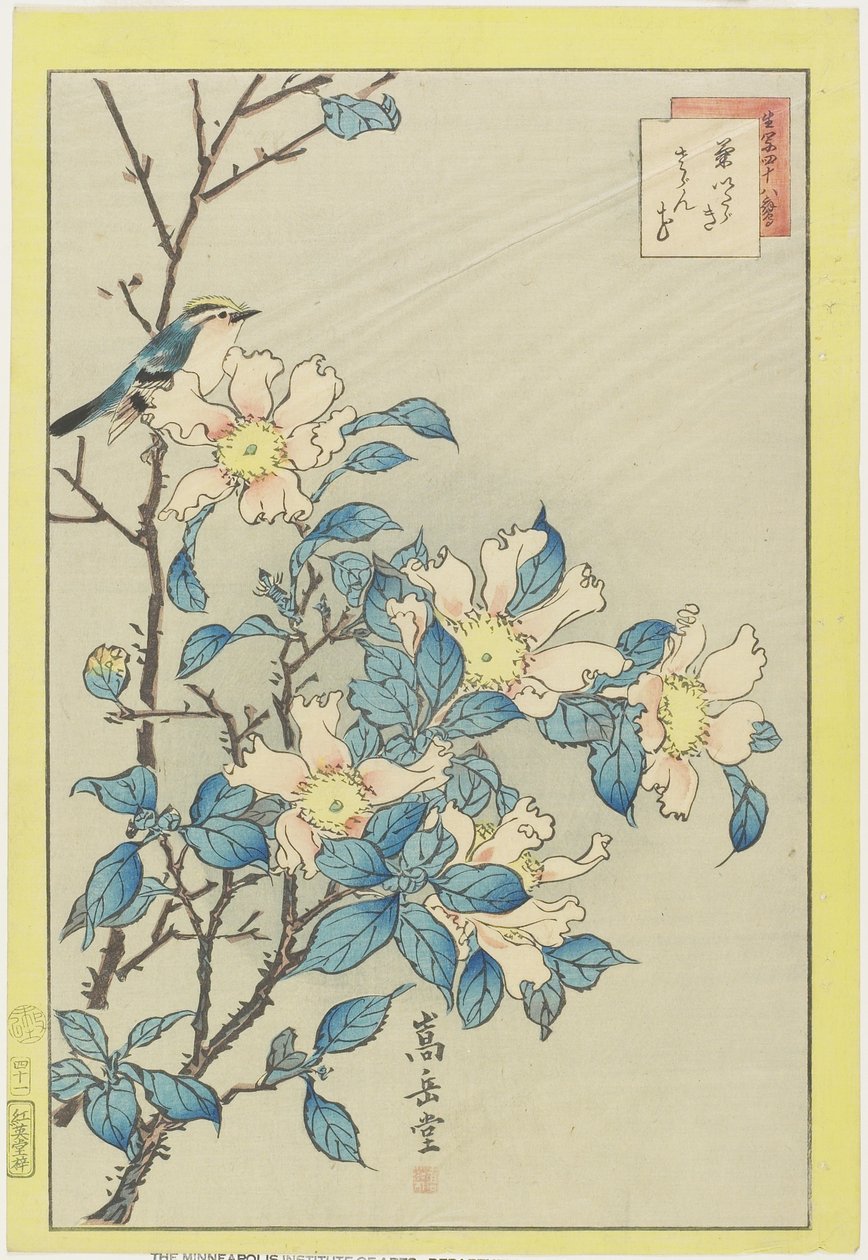 Uccello azzurro e fiori rosa da Nakayama Sugakudo