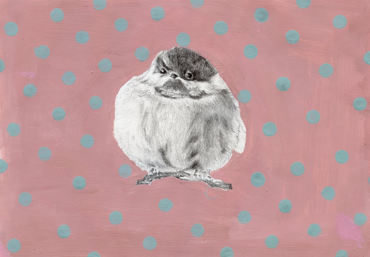 Piccolo fagotto paffuto, 2014 da Nancy Moniz Charalambous