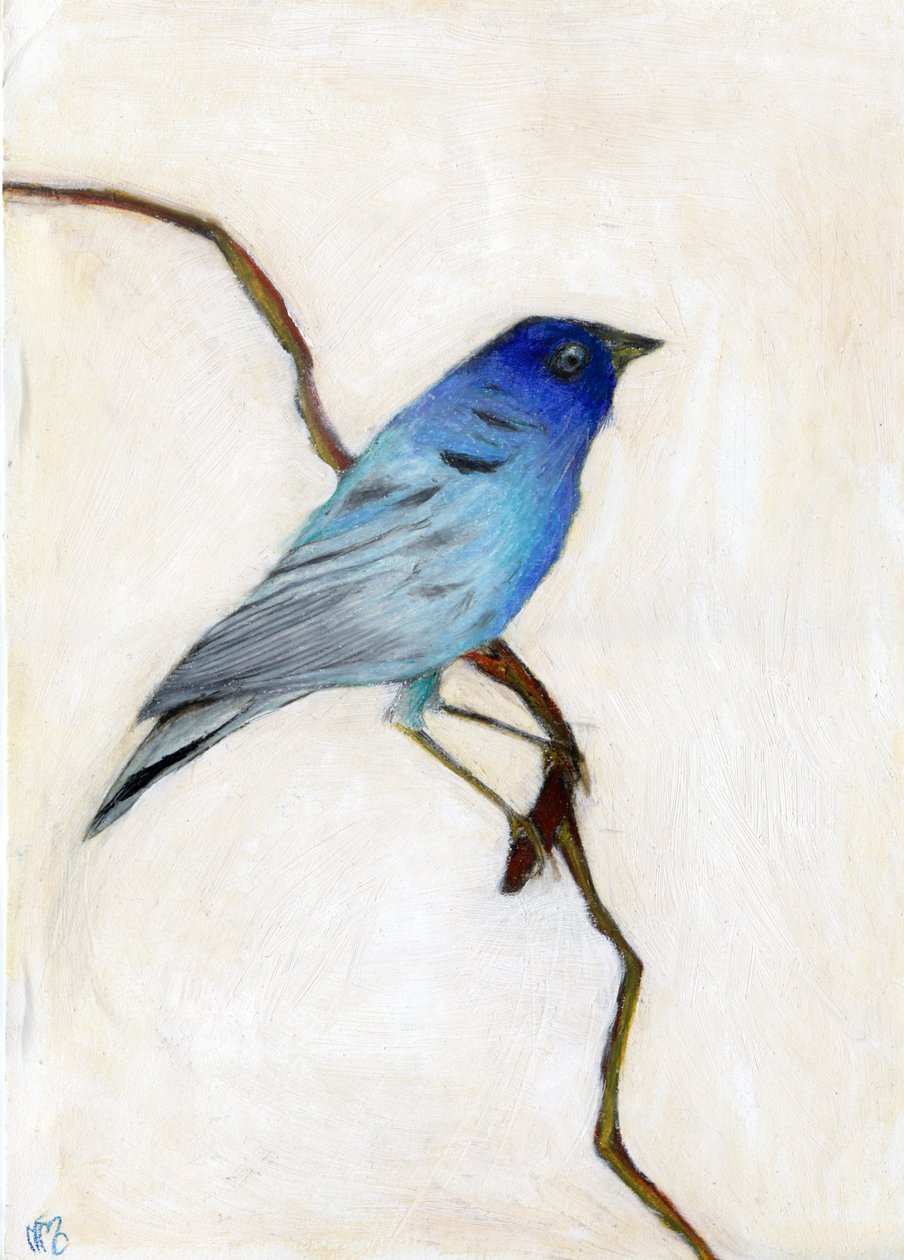 Piccolo Blu, 2012 da Nancy Moniz Charalambous