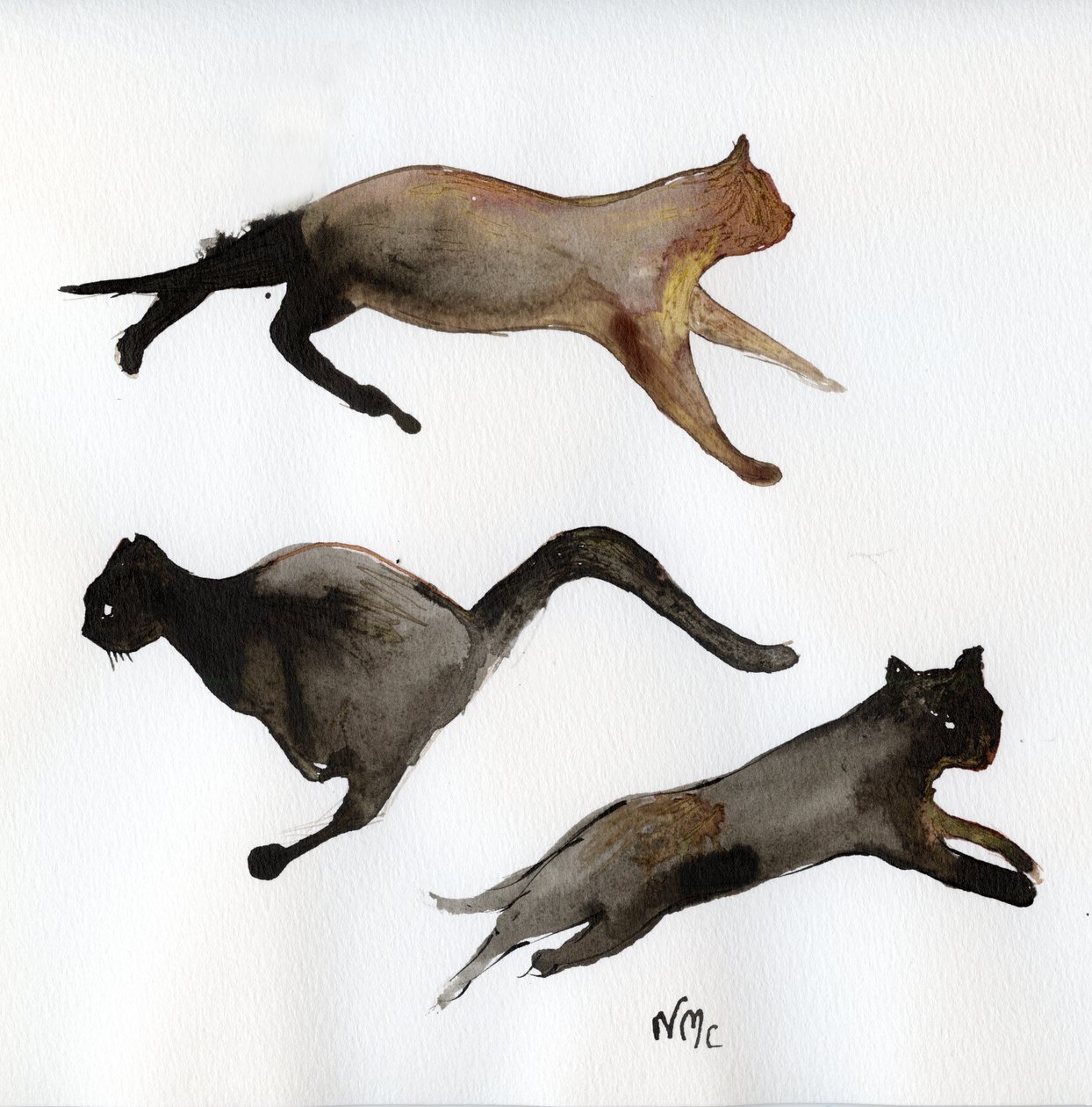 Corri gatto corri, 2017 da Nancy Moniz Charalambous