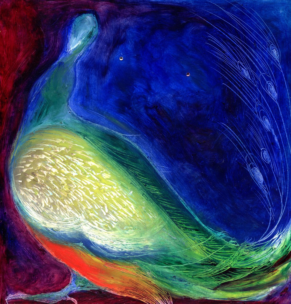 Luce Stellare, 2012 da Nancy Moniz Charalambous