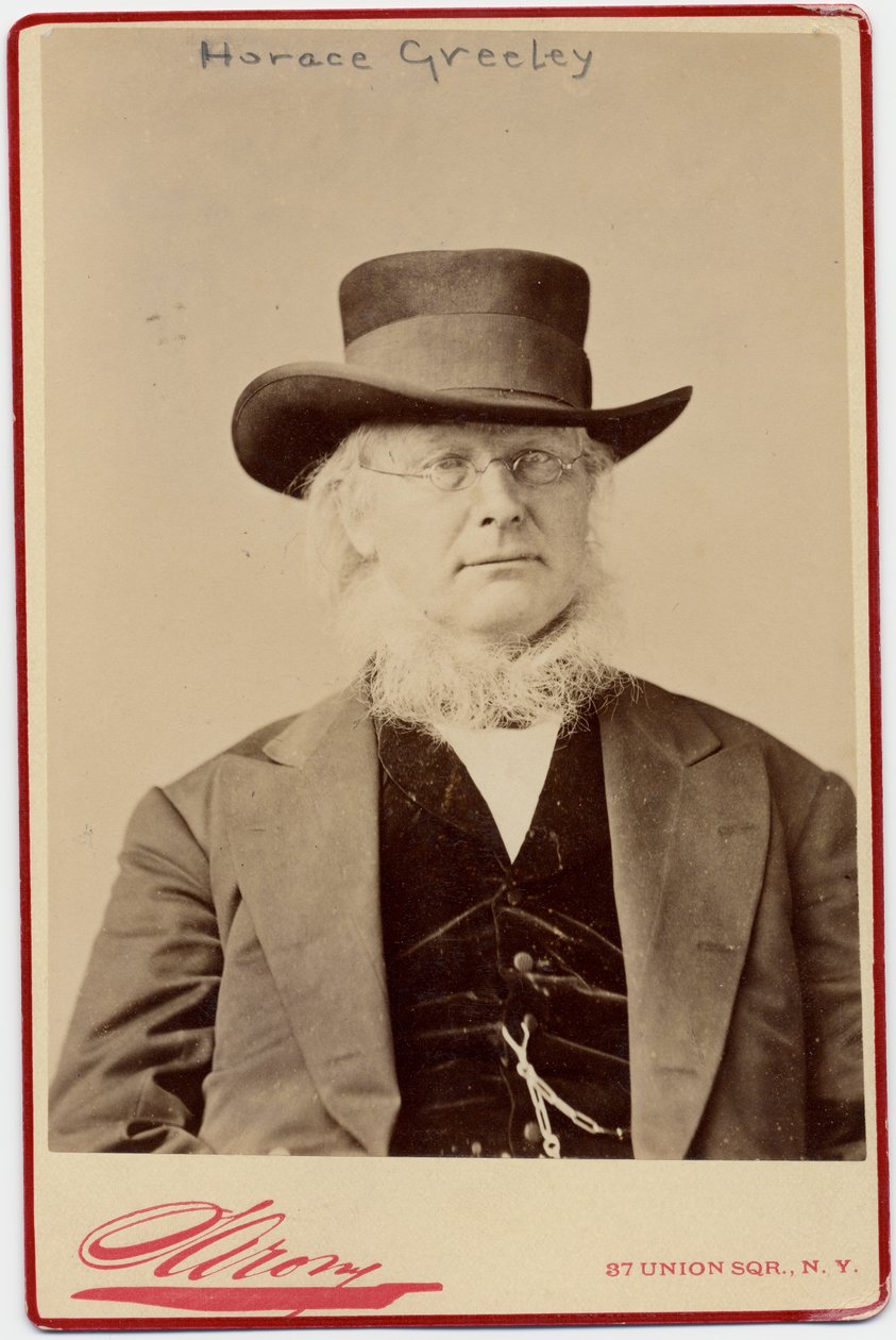 Horace Greeley (1811-72), politico e editore di giornali statunitense da Napoleon Sarony