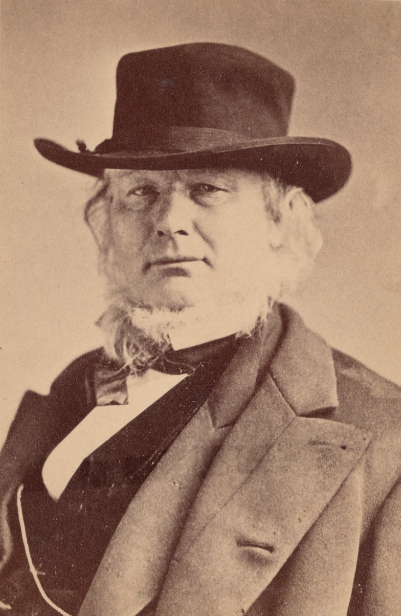 Ritratto di Horace Greeley 1811-1872, 1869 da Napoleon Sarony