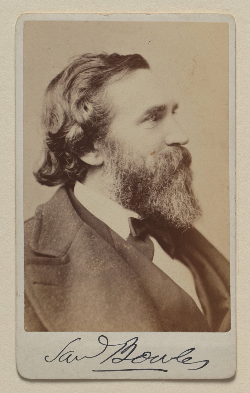 Samuel Bowles II da Napoleon Sarony