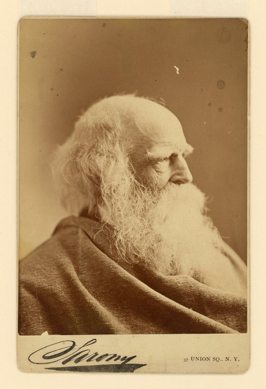 William Cullen Bryant da Napoleon Sarony