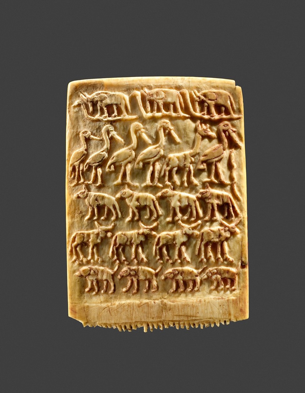 Pettine decorato con file di animali selvatici da Naqada Period Egyptian