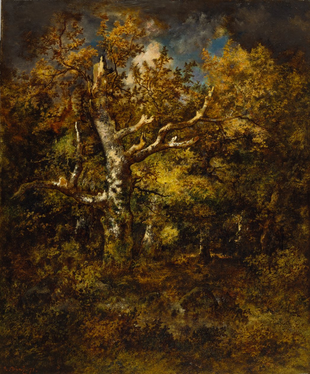 Foresta di Fontainebleau, Autunno, 1871 da Narcisse Virgile Diaz de la Peña
