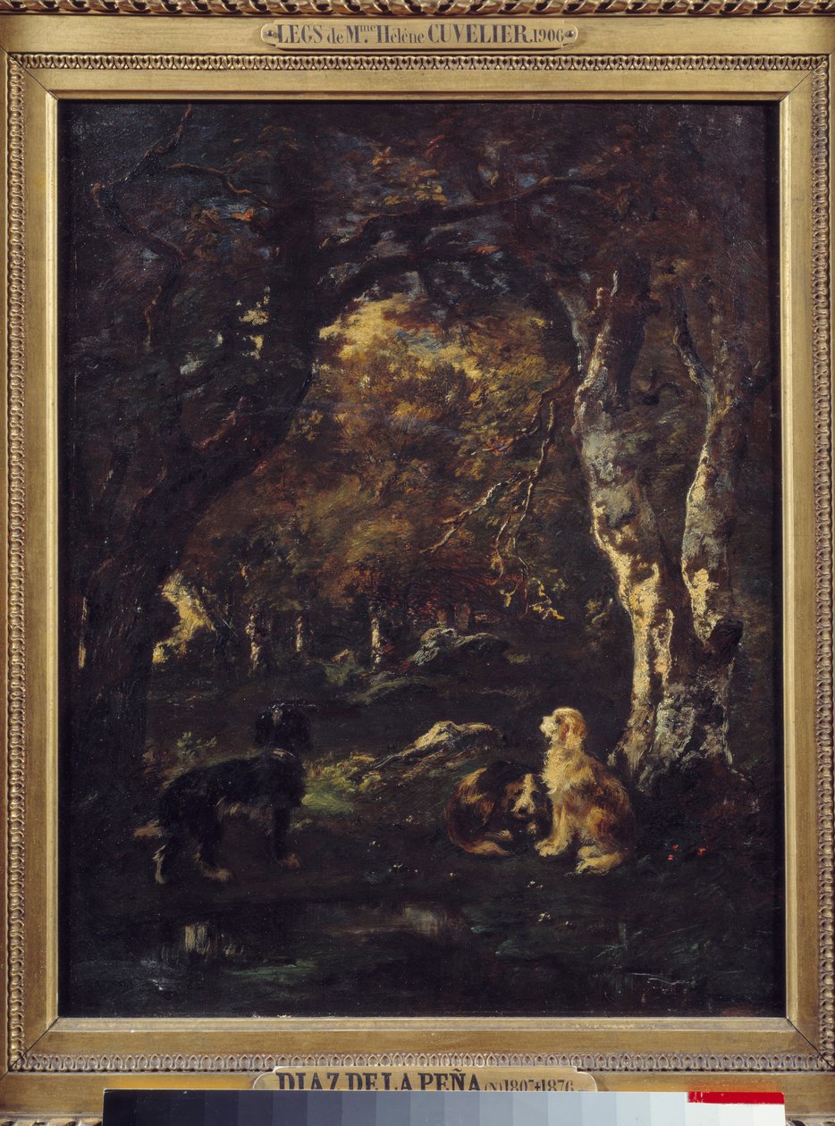 Cani nella foresta, dipinto di Narcisse Diaz de la Peña da Narcisse Virgile Diaz de la Peña