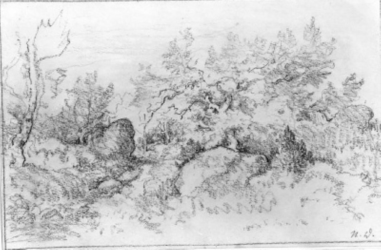 Veduta di bosco da Narcisse Virgile Diaz de la Peña