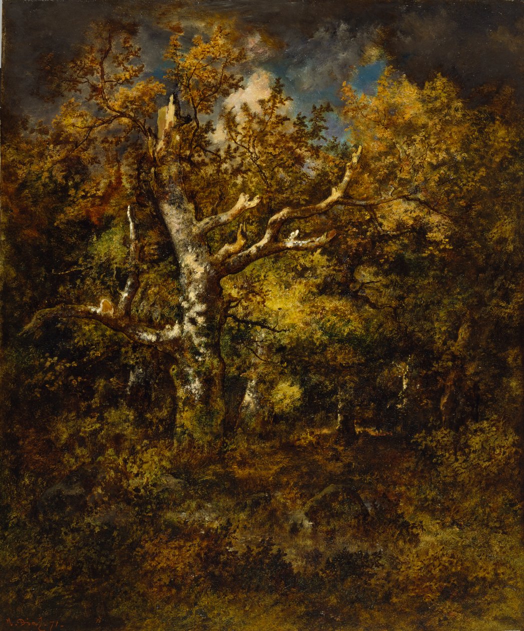 Foresta di Fontainebleau, autunno da Narcisse Virgile Diaz de la Peña