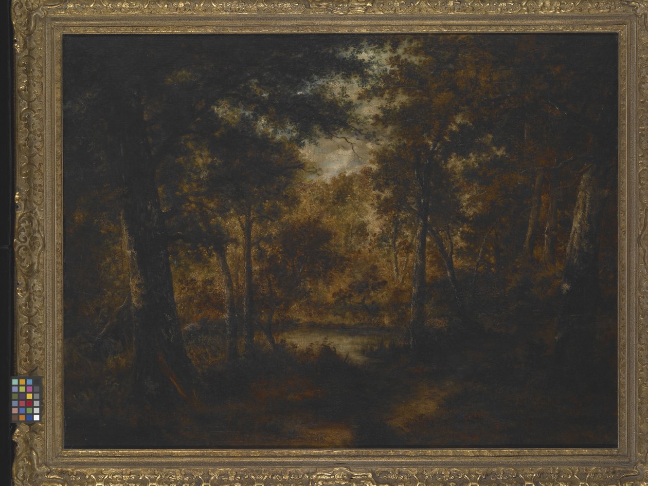 La piscina delle fate da Narcisse Virgile Diaz de la Peña
