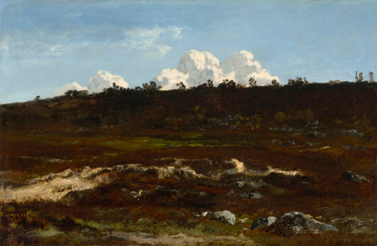 Brughiera. Terreno in discesa presso Apremont con solco di sabbia da Narcisse Virgilio Diaz de la Peña
