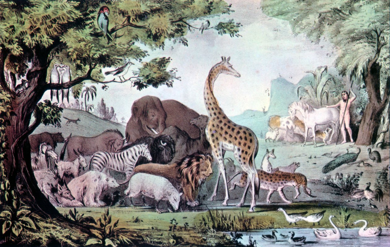 Adamo nomina le creature, 1847 da Nathaniel Currier