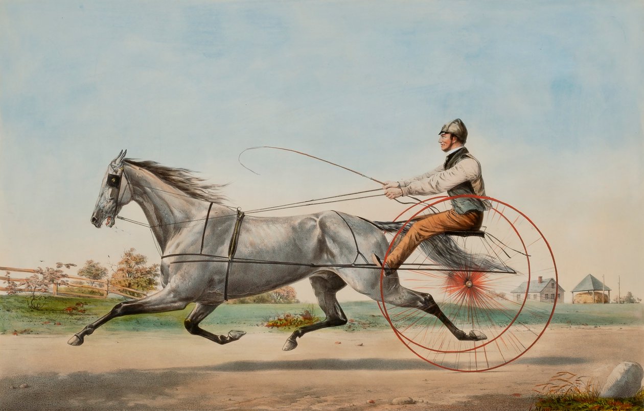 Eddy grigio da Nathaniel Currier