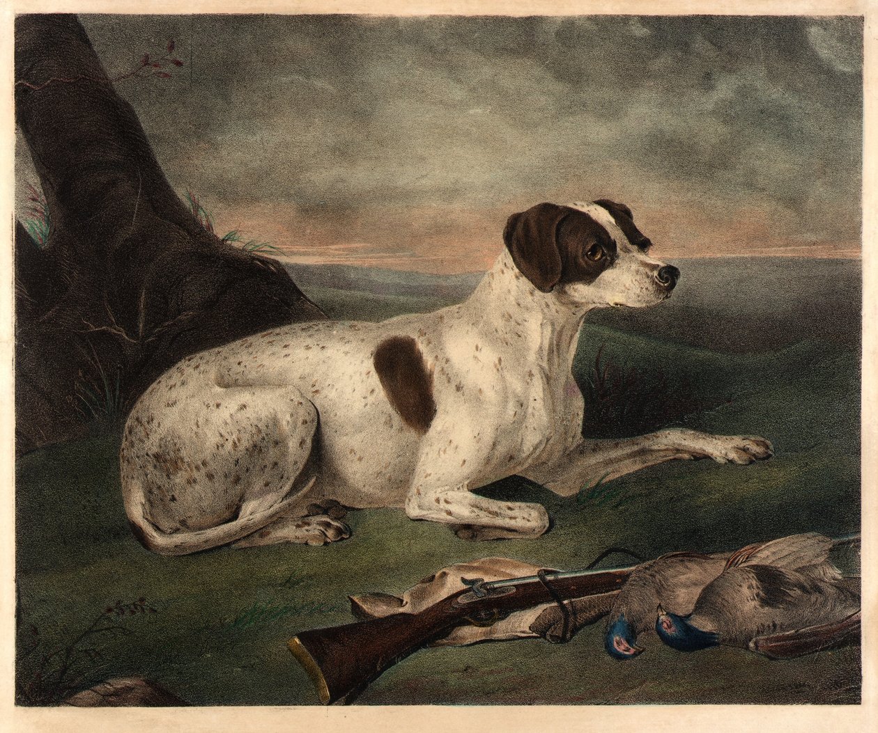 Giunone da Nathaniel Currier