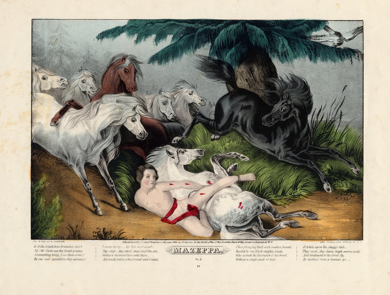 Mazeppa da Nathaniel Currier