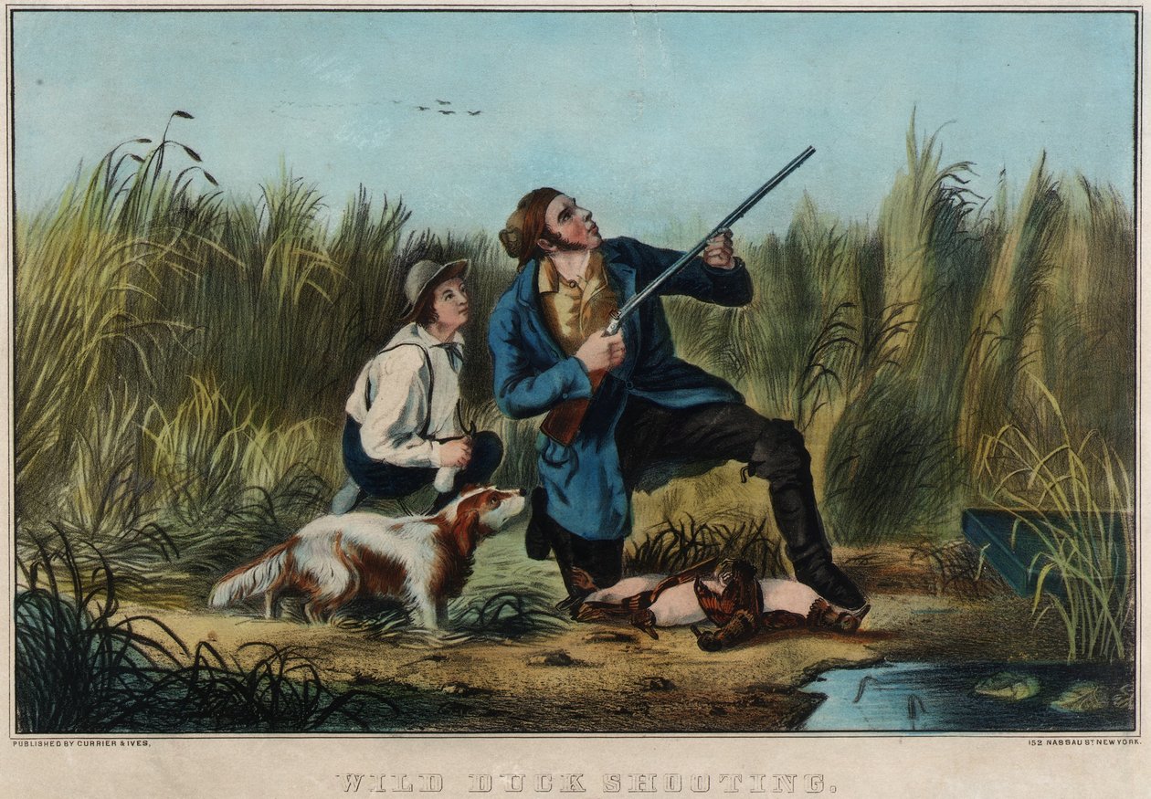 Tiro alle anatre selvatiche da Nathaniel Currier