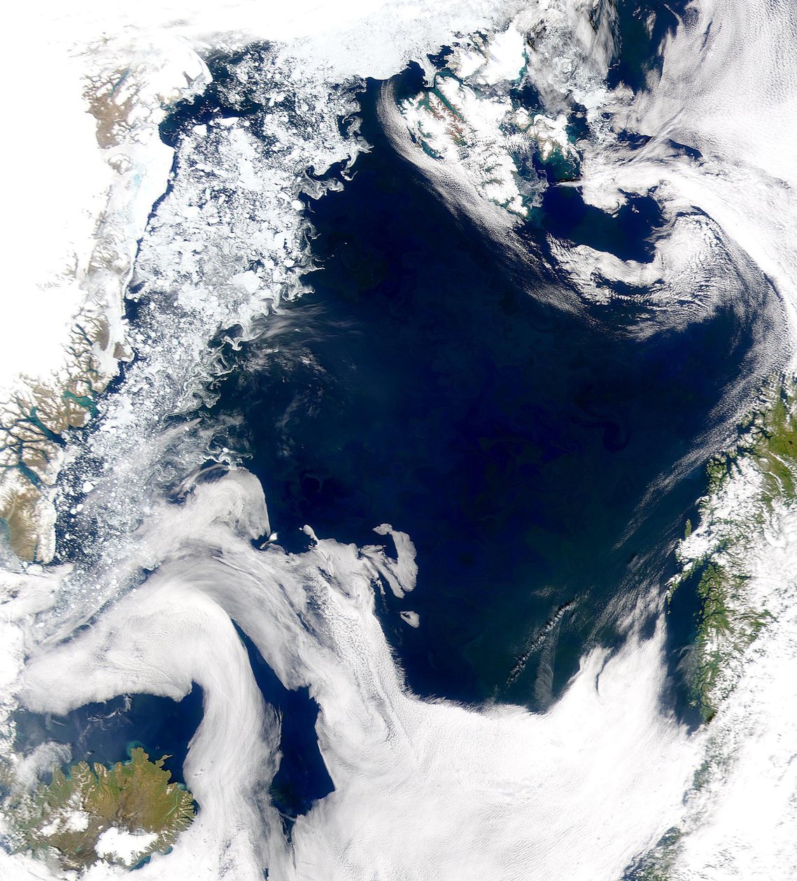 Le acque fredde e produttive del Mare di Groenlandia e del Mare di Norvegia rivelate in questa immagine SeaWiFS da National Aeronautics and Space Administration National Aeronautics and Space Administration