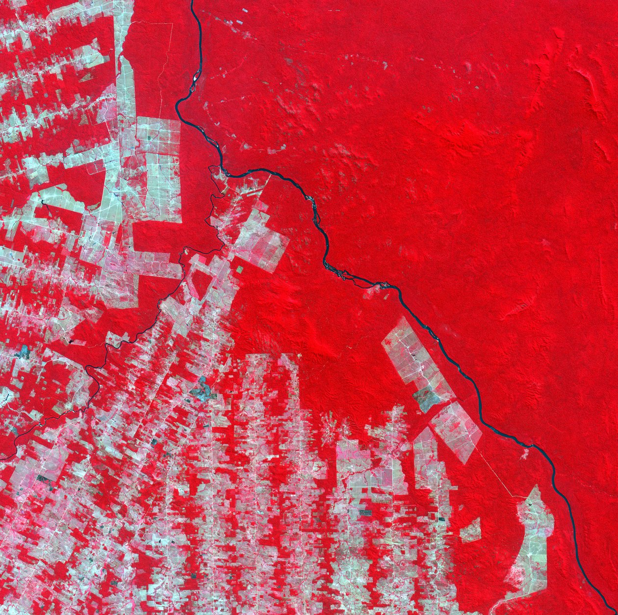 Immagine satellitare a falsi colori della deforestazione nello stato di Rondonia, Brasile, nel 2000 da National Aeronautics and Space Administration National Aeronautics and Space Administration