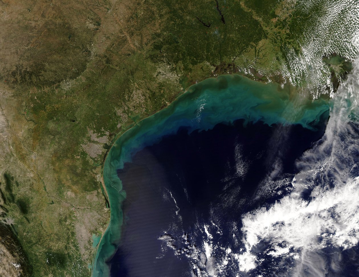 Vista satellitare della costa del Golfo, USA - Tamaulipas, Messico, fino a New Orleans, Louisiana. Credito NASA. Scienza Geologia della Terra Oceanografia da National Aeronautics and Space Administration National Aeronautics and Space Administration