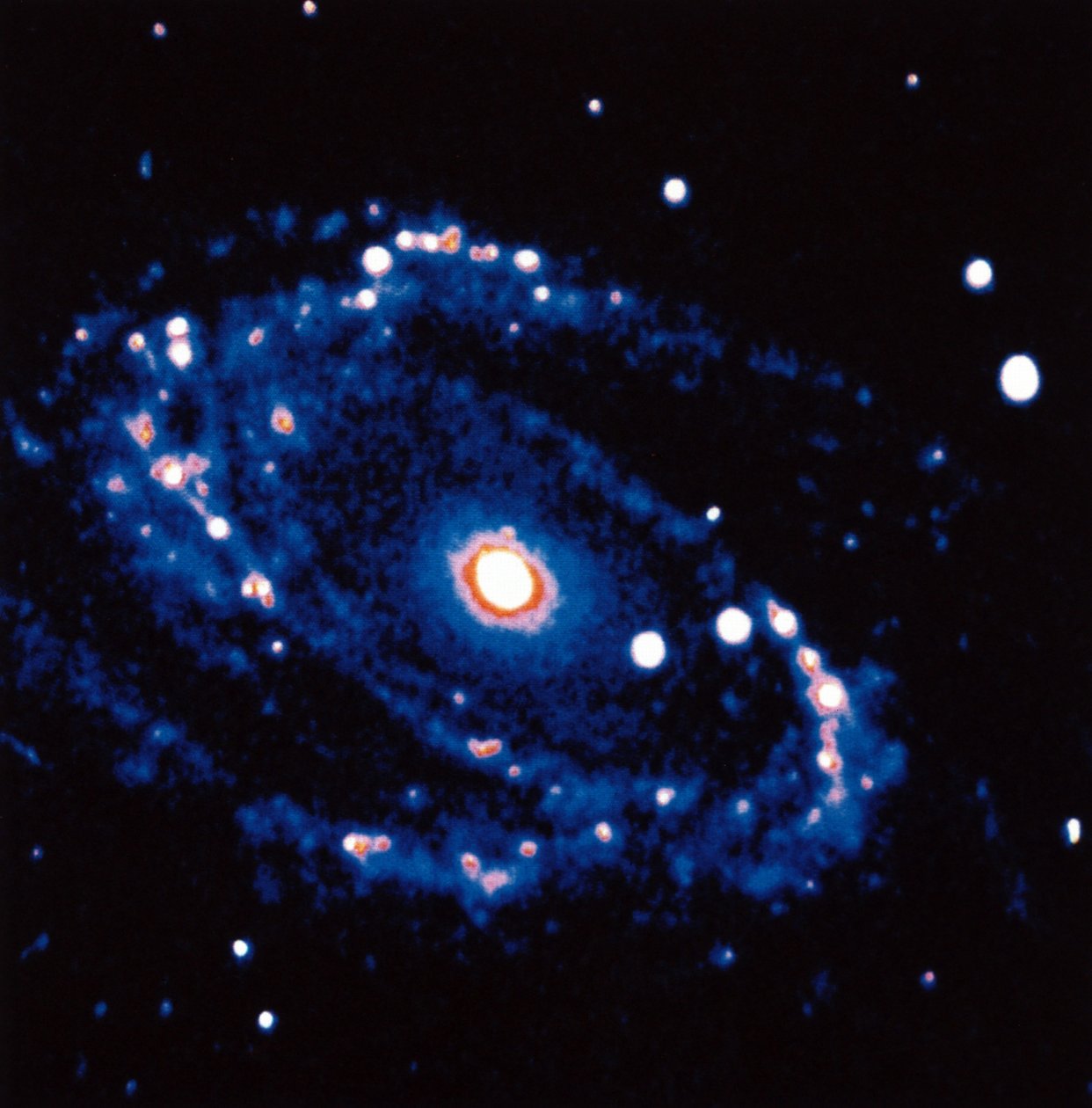 Galassia a spirale M81 nella costellazione dell