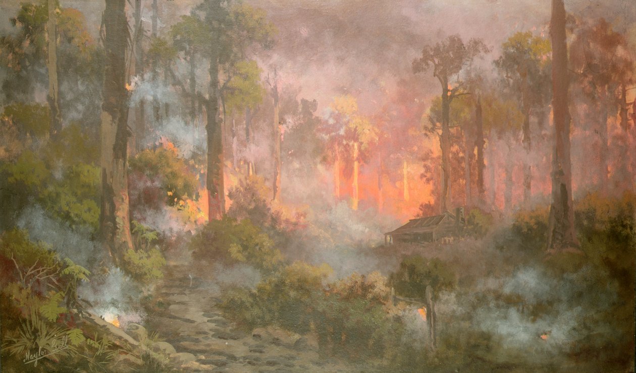 Incendio boschivo da Naylor Gill