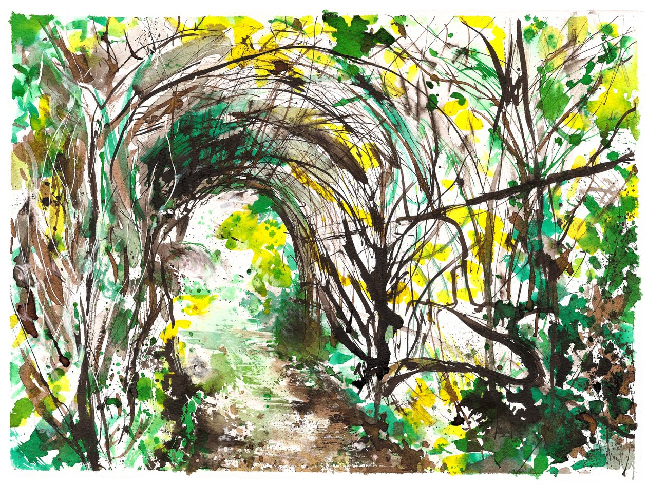 Arco di pergolato, 2025 (inchiostri e pittura acrilica su carta acquerellata) da Neale Osborne