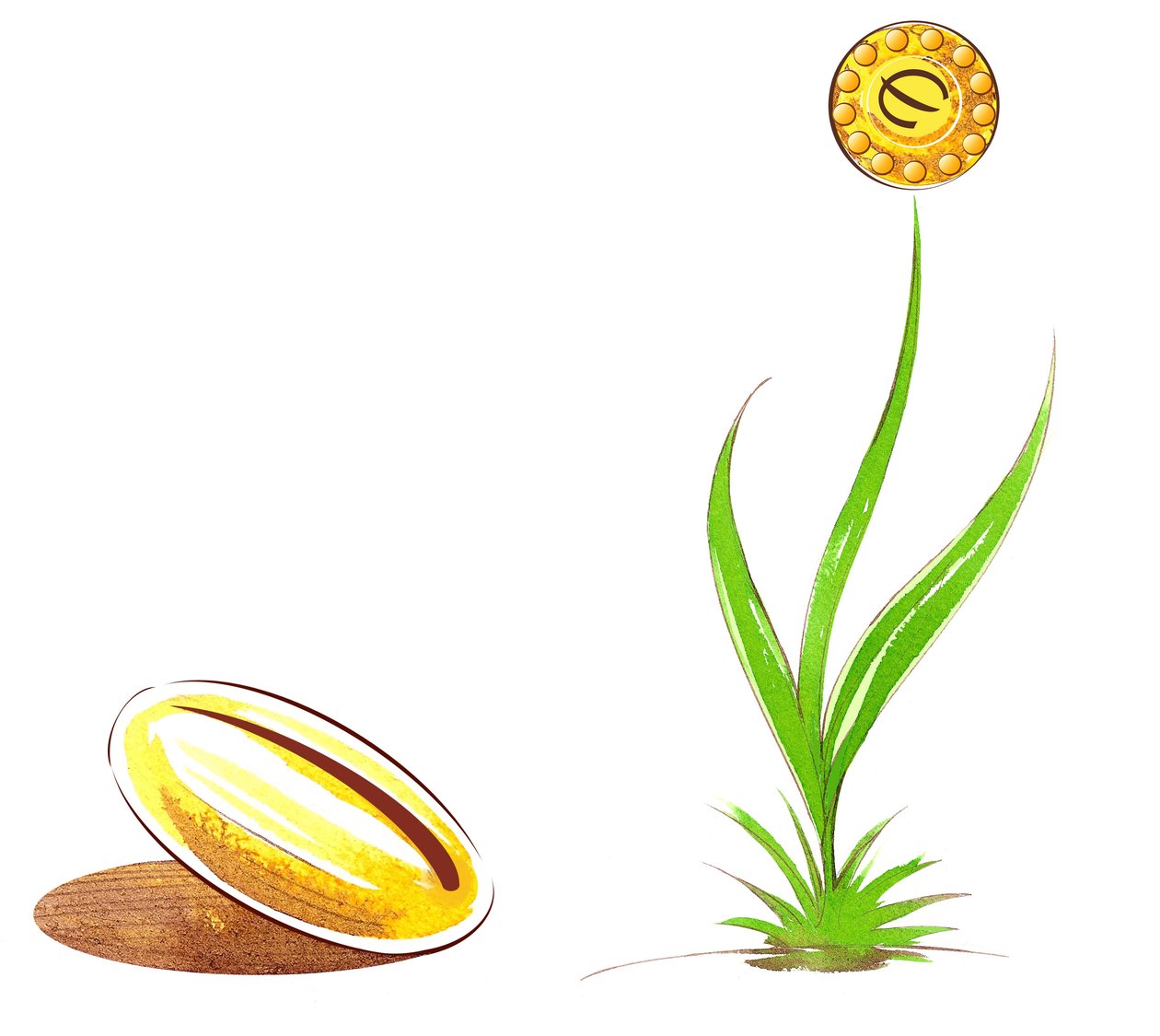 Seme e germoglio - illustrazione di allegoria finanziaria da Neale Osborne