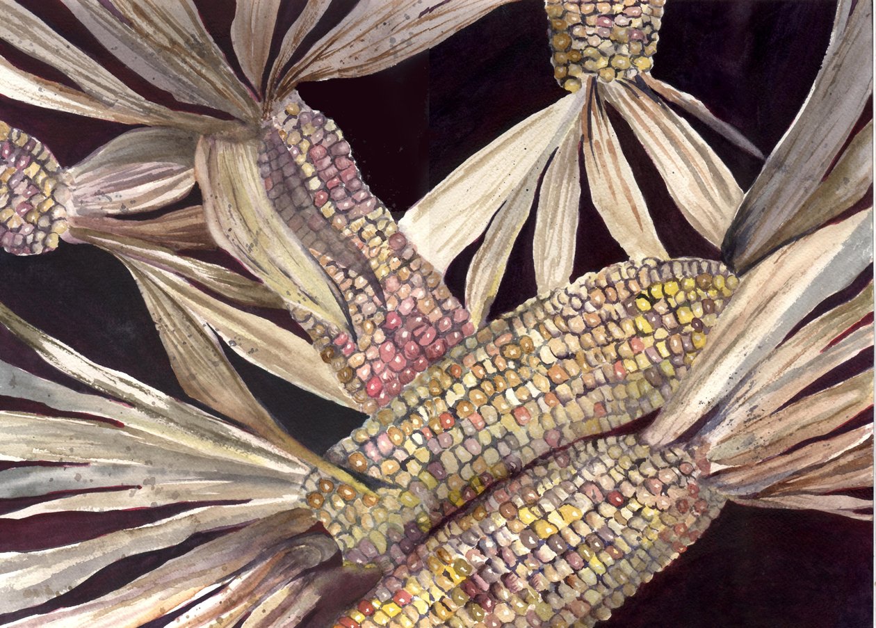 Grano da Neela Pushparaj
