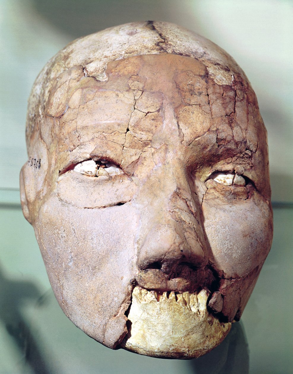 Teschio, da Gerico, 7000-6000 a.C. da Neolithic