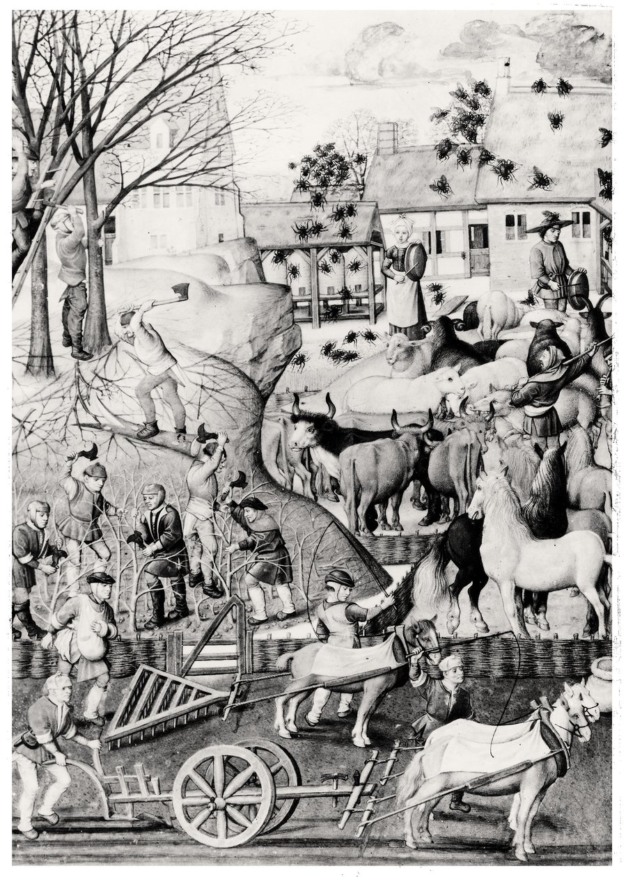 Aratura da Netherlandish School