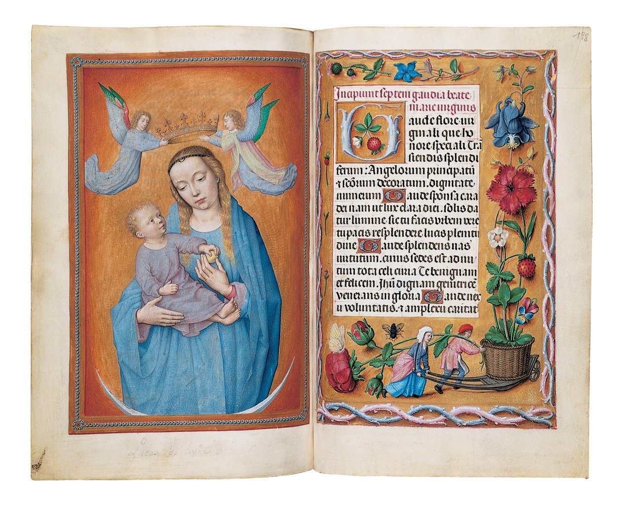Libro d