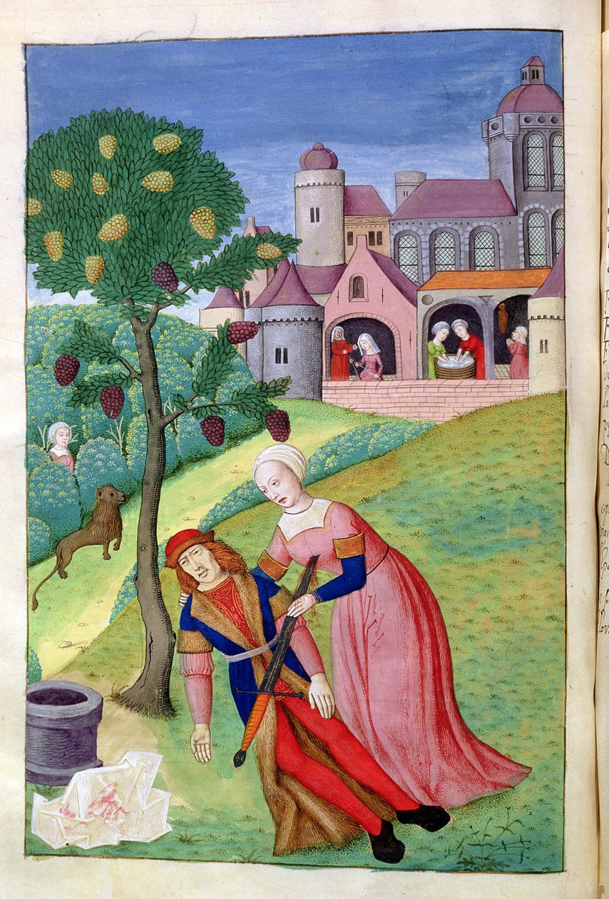 Alcithoe, Piramo e Tisbe, il gelso cambia colore, dalle Metamorfosi di Ovidio, 1479 da Netherlandish School