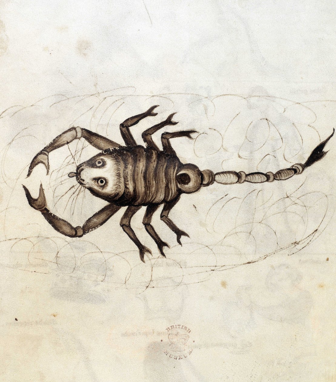 Sloane 3983. Folio No: 23 Il segno zodiacale dello Scorpione da Netherlandish School