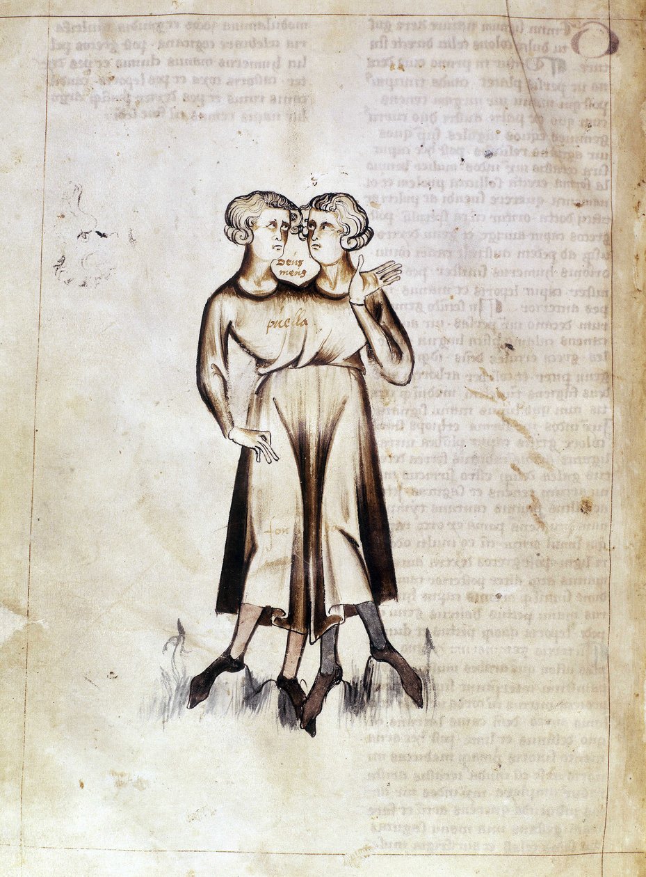Sloane 3983 f.8v Disegno dei Gemelli, da una traduzione di un trattato astrologico persiano di Jafar ibn Muhammad da Netherlandish School