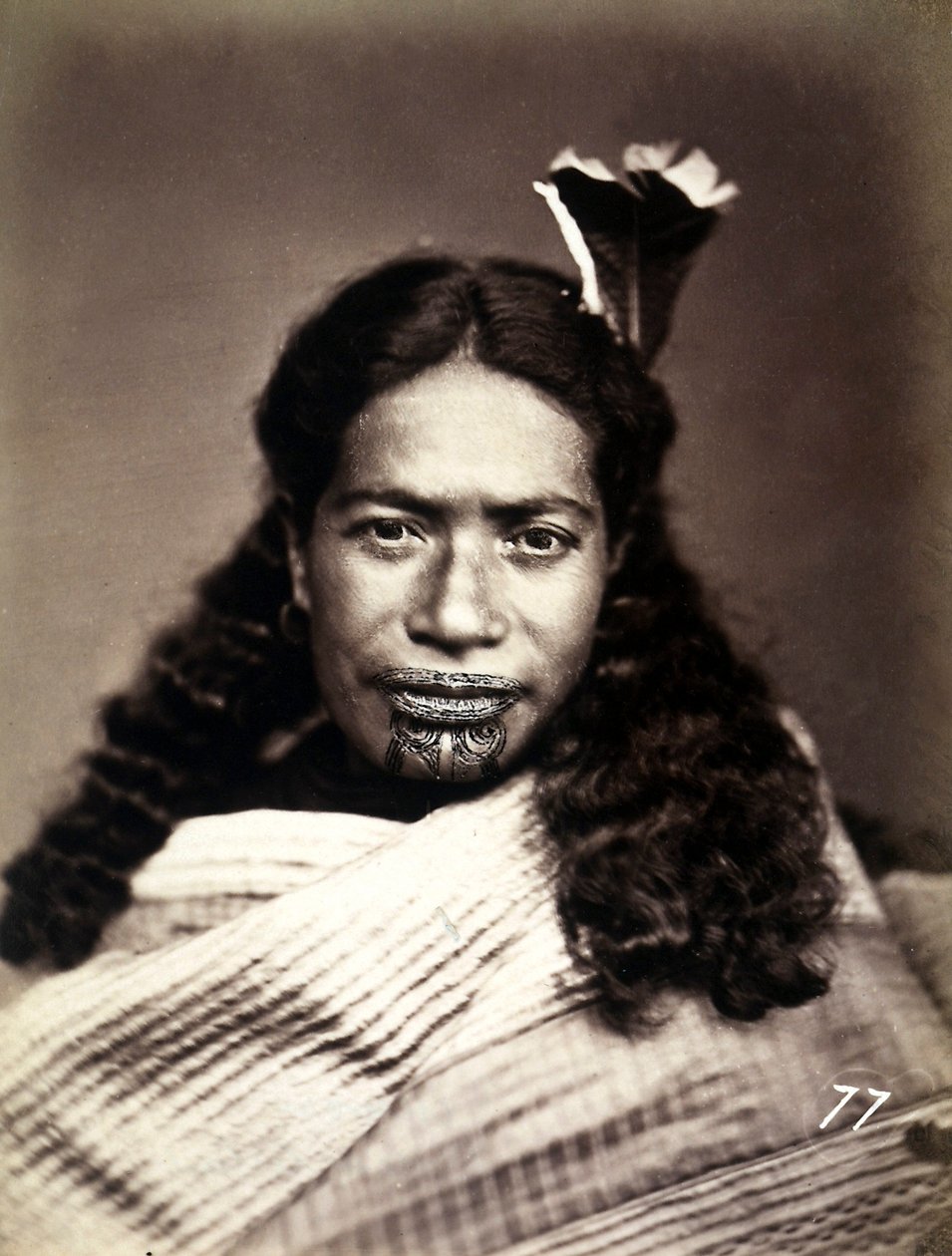 Ritratto di un Maori con il viso tatuato, c.1886-88 da New Zealand Photographer