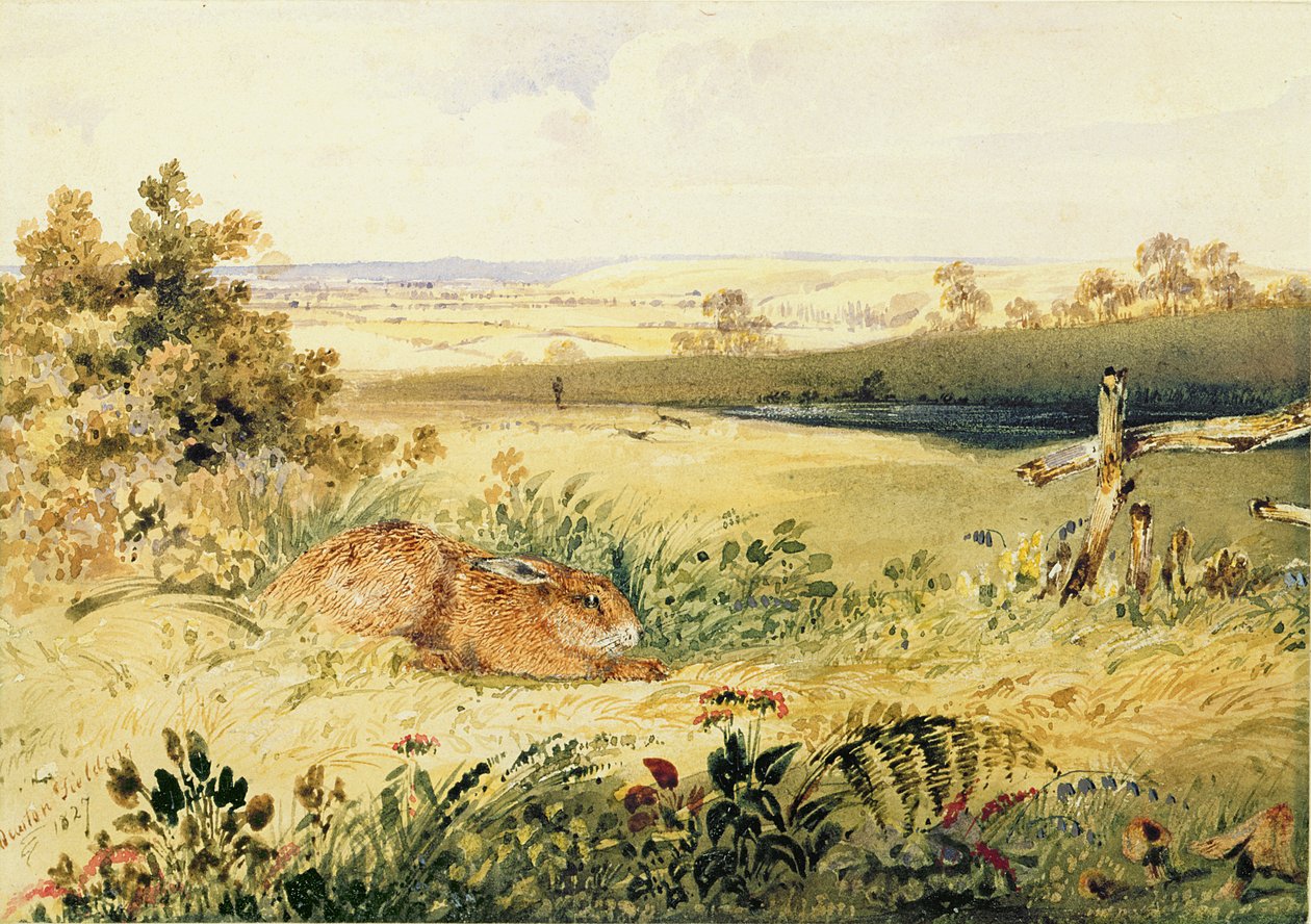 Lepre in un paesaggio, 1827 da Newton Fielding