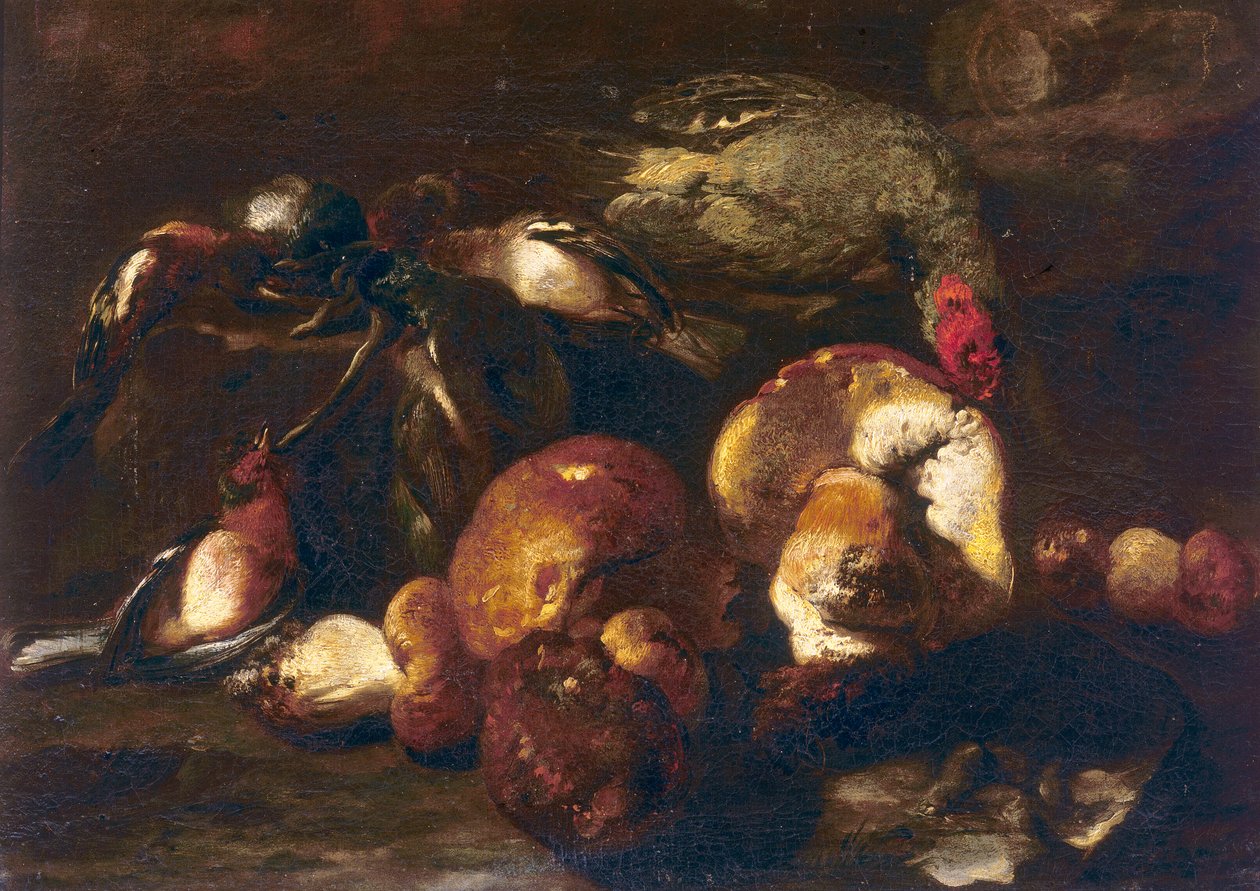 Uccelli e funghi da Nicasius 1620-78 Bernaerts