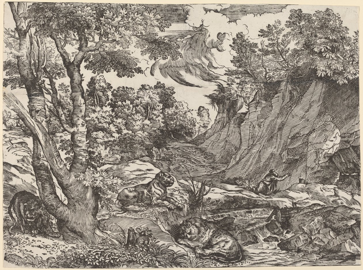 San Girolamo nel deserto da Niccolò Boldrini after Titian