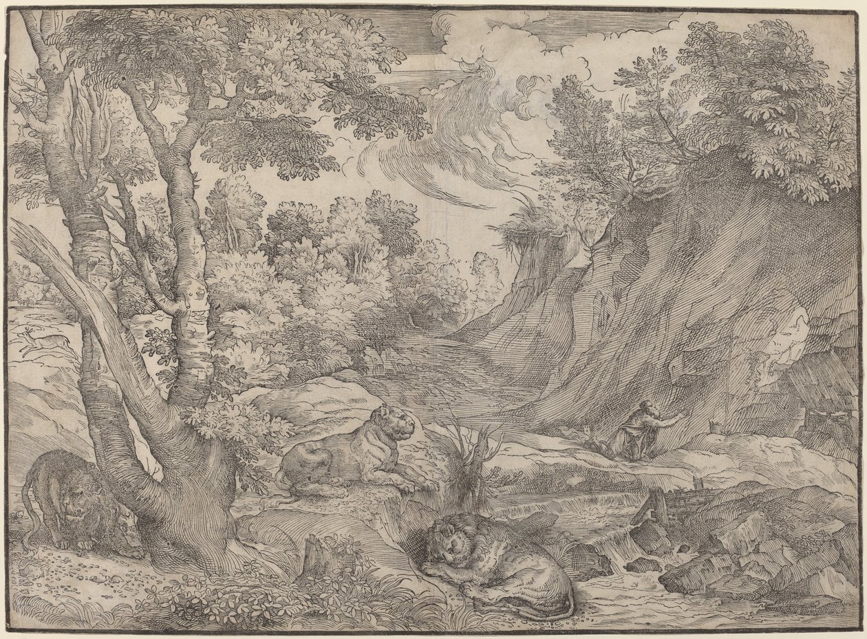 San Girolamo nel deserto da Niccolò Boldrini after Titian