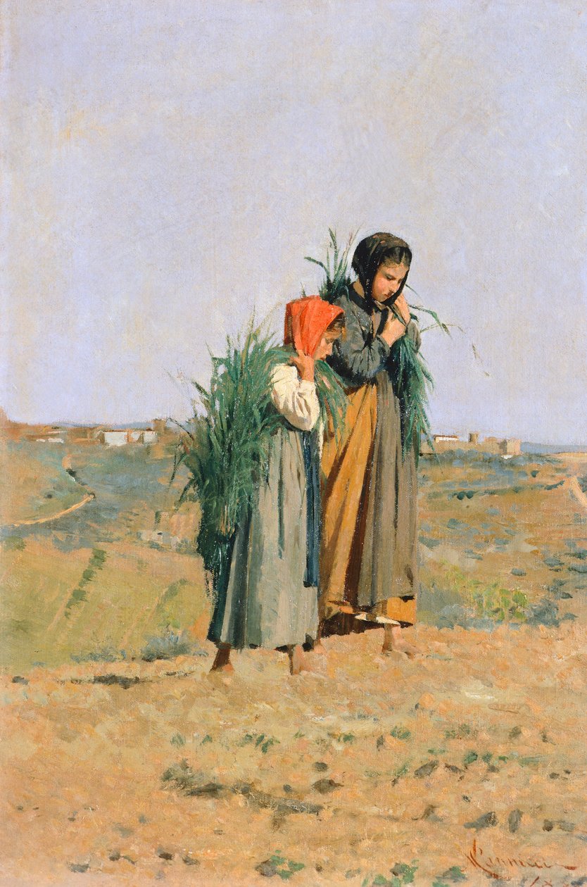 Erbaiole da Niccolo Cannicci
