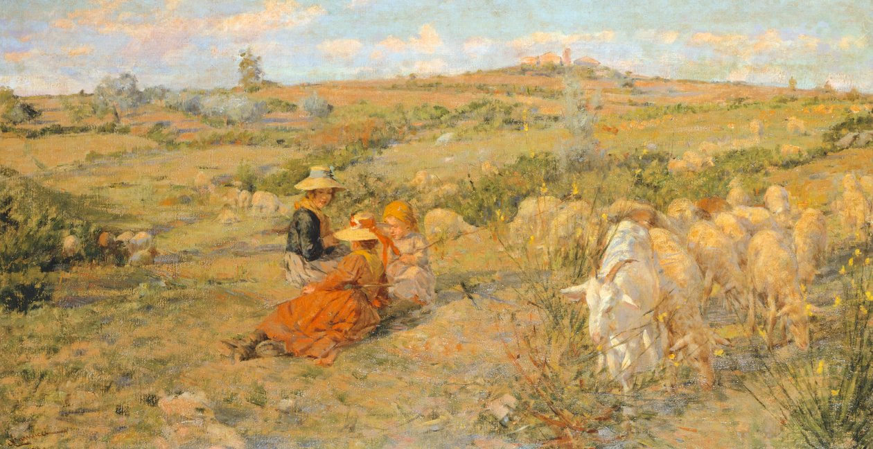 Fiori di montagna da Niccolo Cannicci