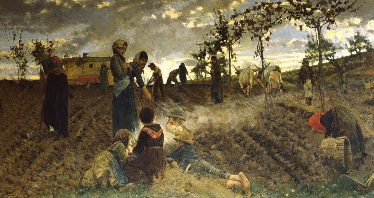 Semina in Toscana da Niccolo Cannicci