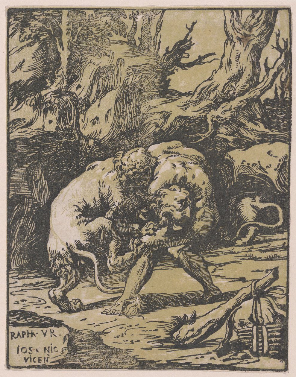 Ercole e il leone di Nemea da Niccolo Vicentino