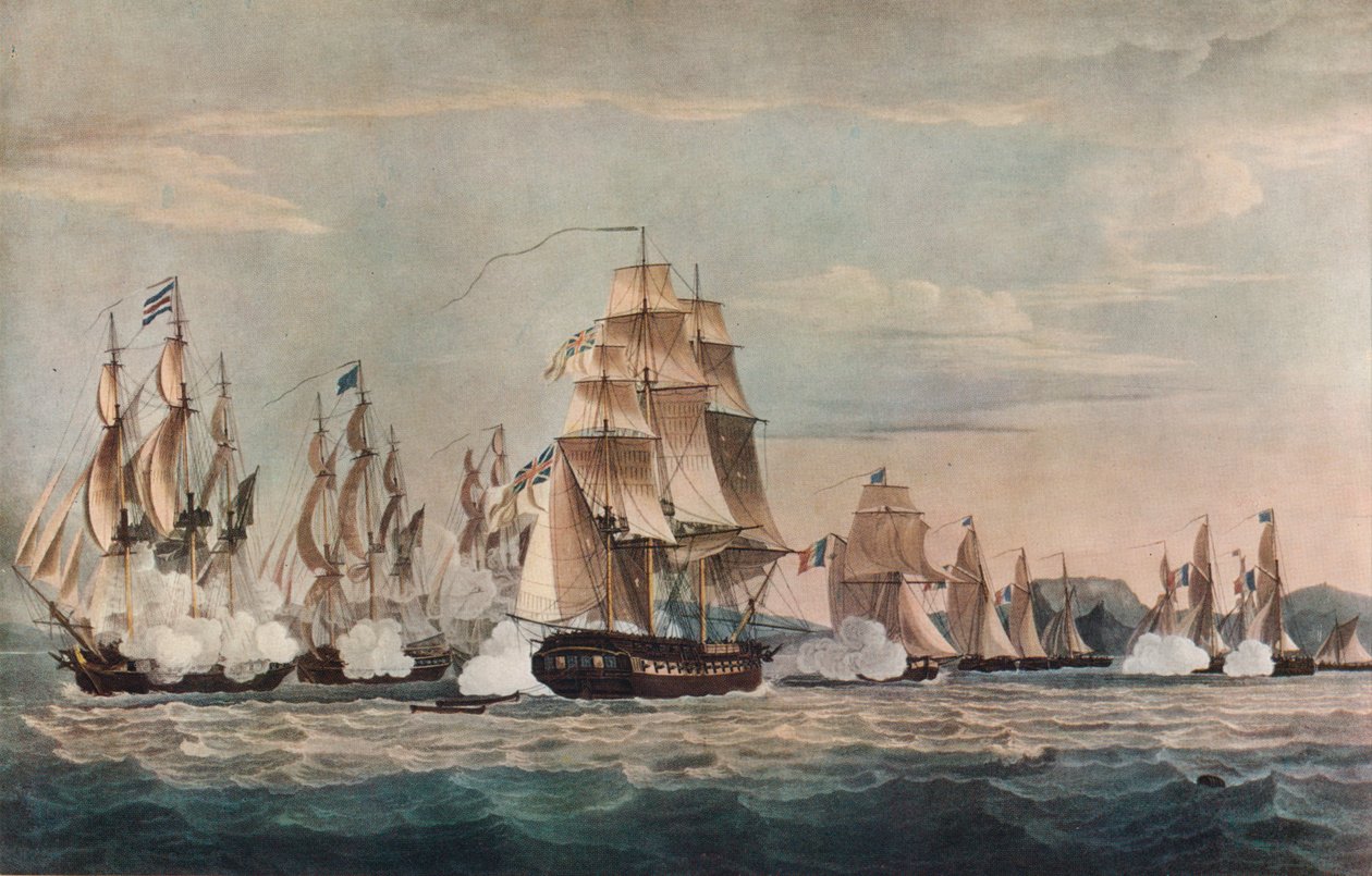 Cattura dello Sparviere da Nicholas Pocock