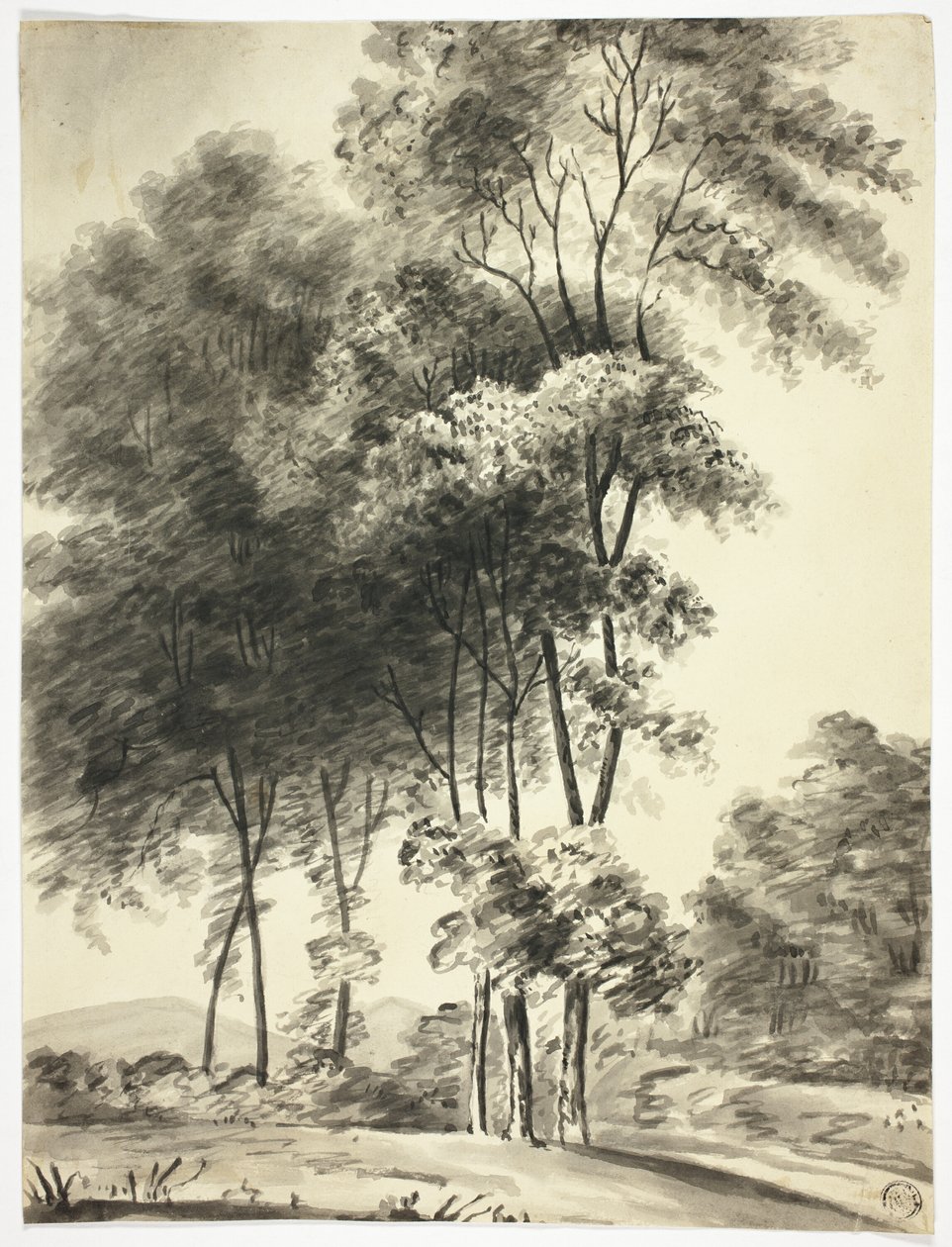 Alberi con montagne in lontananza da Nicholas Pocock